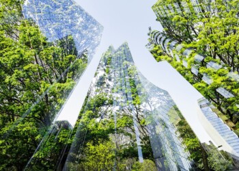 Sostenibilidad ambiental en edificaciones: Desafíos y soluciones