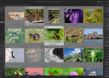 Darktable 4.8: Nuevas funciones y mejoras en edición de imágenes RAW