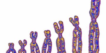 ADN humano revela un linaje fantasma africano: el tercer ancestro antiguo
